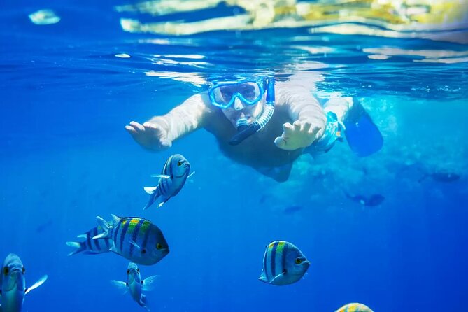 Bali Blue Lagoon Snorkeling with Private Transfer and Lunch - The main reasons to consider this Blue Lagoon outing