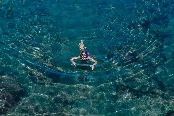 Bali Blue Lagoon Snorkeling with Private Transfer and Lunch - What the snorkeling session is like for beginners
