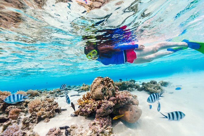 Bali Blue Lagoon Snorkeling with Private Transfer and Lunch - A local lunch after time in the water