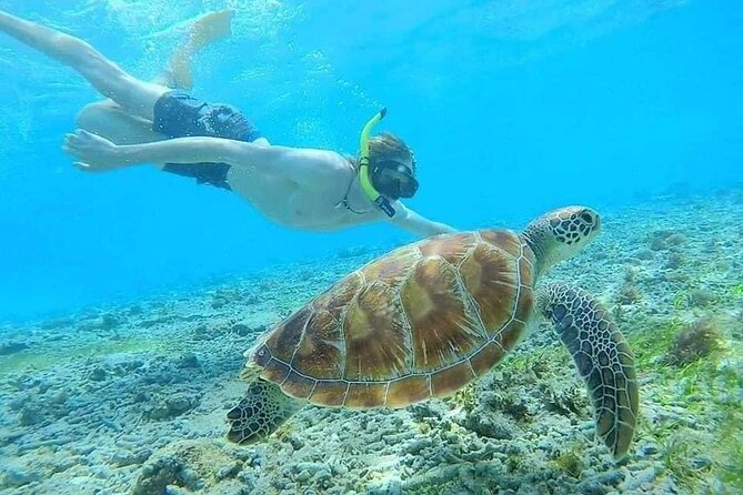 Bali Blue Lagoon Snorkeling with Private Transfer & Lunch - How much value do you get for $39.90?