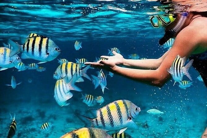 Bali Blue Lagoon Snorkeling with Waterfalls Tour - all included - Key points to know before booking