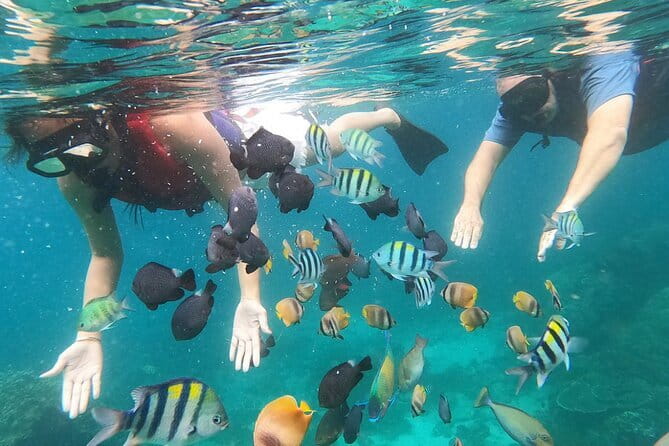 Bali Blue Lagoon Snorkeling with Waterfalls Tour - all included - Who should choose this Bali combination tour?