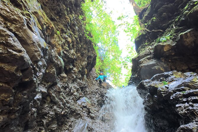 Bali Canyoning Trip – Explore Hidden Waterfalls & Gorges - Entering the Gitgit canyon and bamboo forest