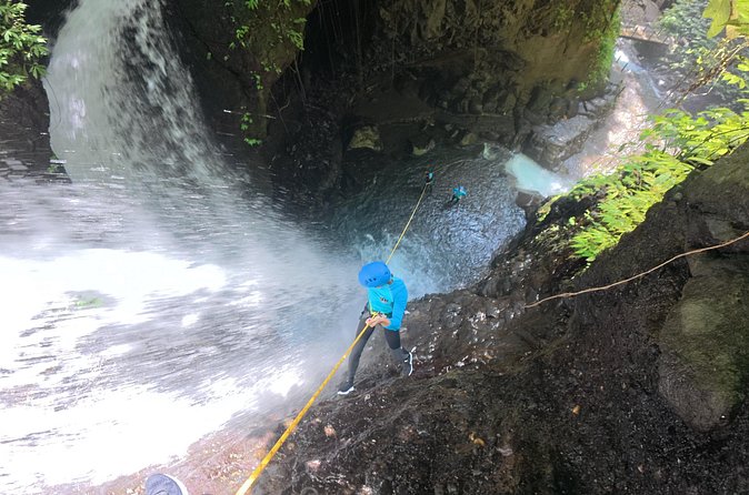 Bali Canyoning Trip – Explore Hidden Waterfalls & Gorges - Gitgit Waterfall and the Twin Waterfall rappel