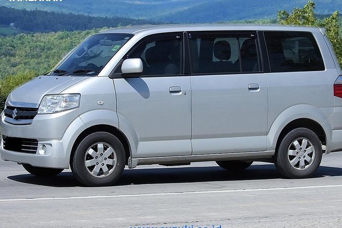 Bali Car Charter Your Own Tour Initenery - Tegalalang Rice Terrace: the day’s big view