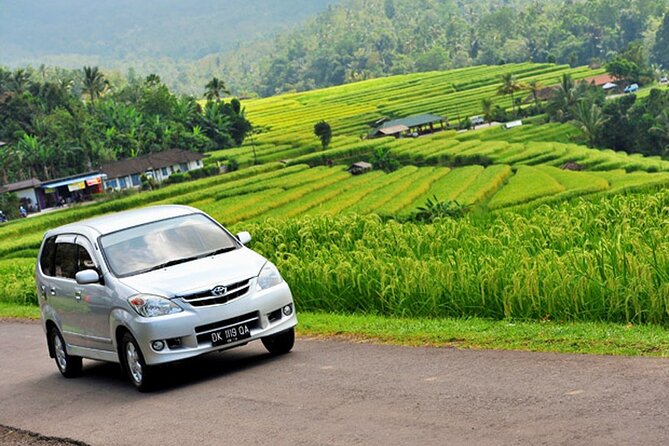Bali Car Hire with Driver - Ubud routes: temples, waterfalls, and cultural stops