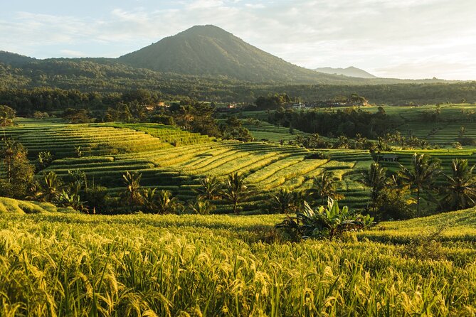 Bali Charm: Full-Day Bedugul and Tanah Lot Tour (UNESCO) - All Inclusive Tickets - The optional stops need a realistic reading