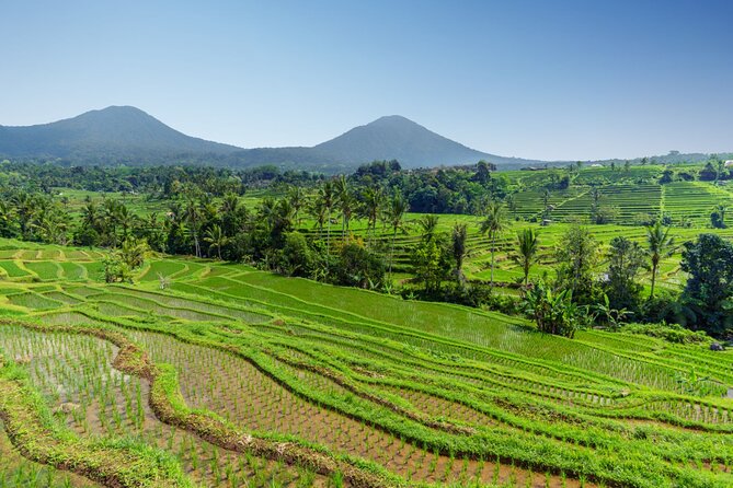 Bali Charm: Full-Day Bedugul and Tanah Lot Tour (UNESCO) - All Inclusive Tickets - The guide and vehicle make the long day easier