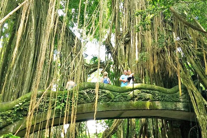 Bali Cooking Class and Ubud Sightseeing Tour - Sacred Monkey Forest Sanctuary: Ubud’s famous forest stop