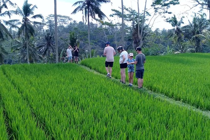 Bali Countryside Cycling Adventure - Key points to know before booking
