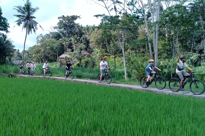 Bali Countryside Cycling Adventure - The Penglipuran Bamboo Forest is the most atmospheric ride