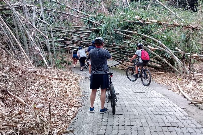 Bali Countryside Cycling Adventure - Penglipuran Village offers a closer look at Balinese traditions