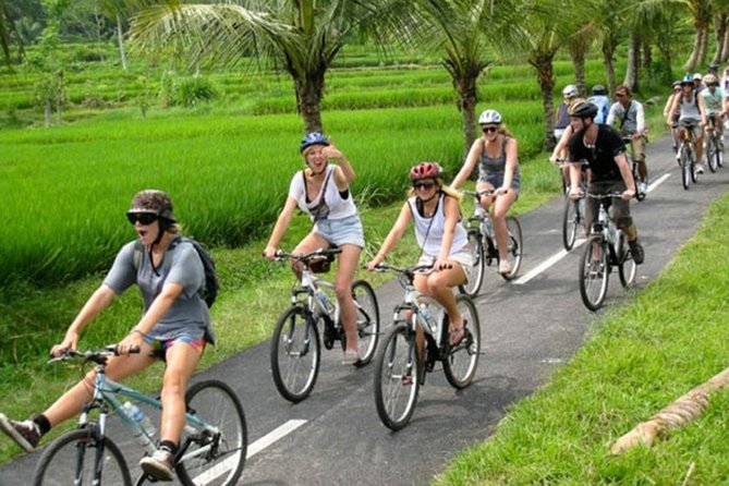 Bali Countryside Cycling Tour by Halo Bike Tour - A coffee plantation stop at about 8:45 a.m.