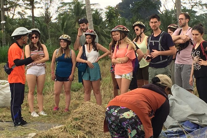 Bali Countryside Cycling Tour by Halo Bike Tour - What the $65 price really covers