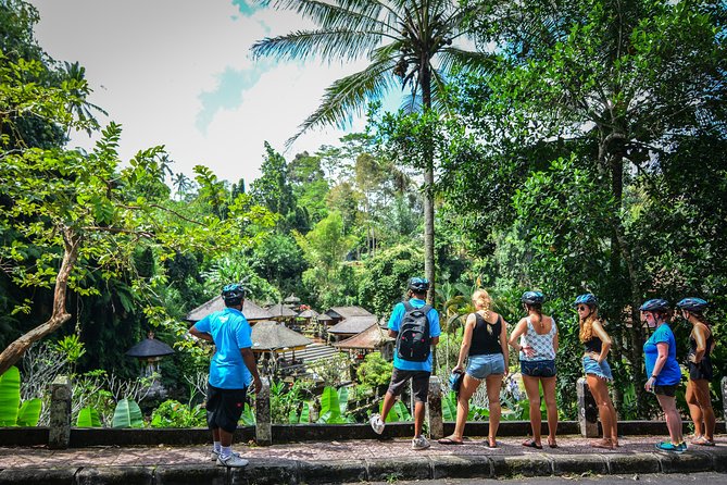 Bali Countryside Cycling Tours - Rice terraces, farms, and family compounds