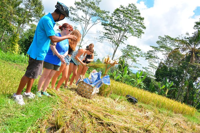 Bali Countryside Cycling Tours - Lunch at the end of the ride