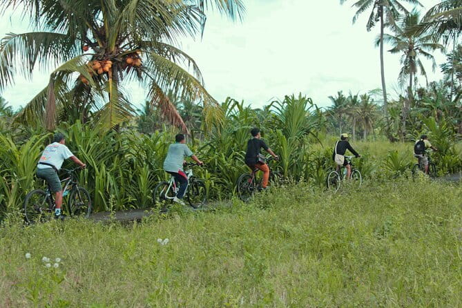 Bali Countryside Eco Cycling Tour include Lunch - The countryside details that make this tour worthwhile