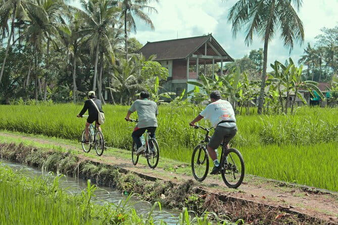 Bali Countryside Eco Cycling Tour include Lunch - Rice paddies, temples, and everyday village life