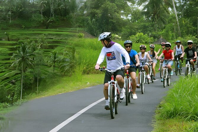 Bali Countryside Eco Cycling Tour include Lunch - What $78.21 buys you