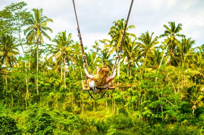 Bali Cultural Experience - Timing, food, and the practical details