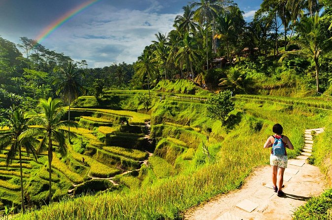 Bali Cultural Experience - Should you book the Bali Cultural Experience?