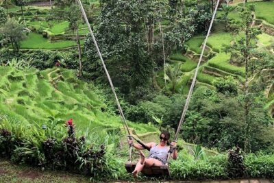 Bali Culture And Spring Temple Private Guided Tour