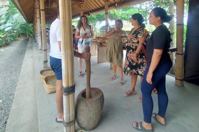 Bali Culture And Spring Temple Private Guided Tour - Finishing at Tegenungan Waterfall