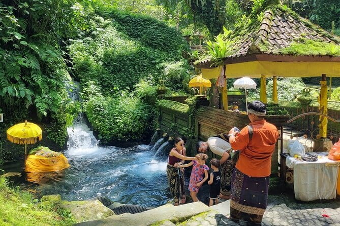 Bali Customizable Multi Language Tour with Driver-Guide - Key points before you book