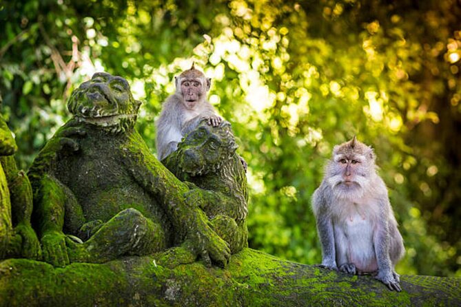 Bali Customized Private Tour - A private Bali day that bends to your plans