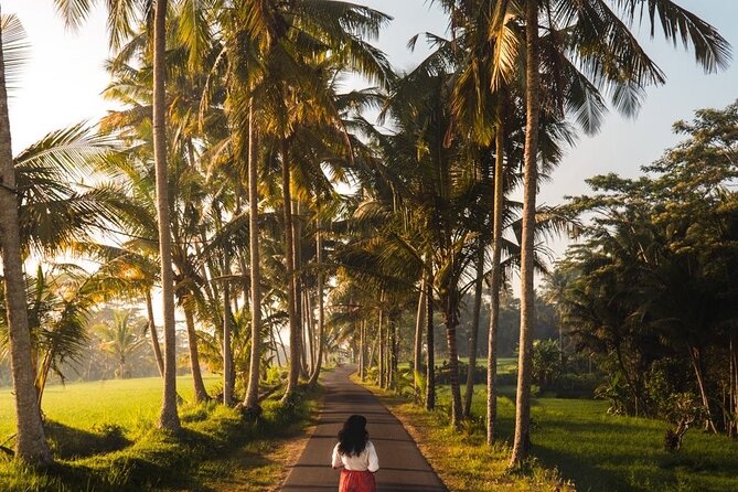 Bali Customized Tour Private Car and Driver - Ulun Danu Beratan, Taman Ayun, and North Bali