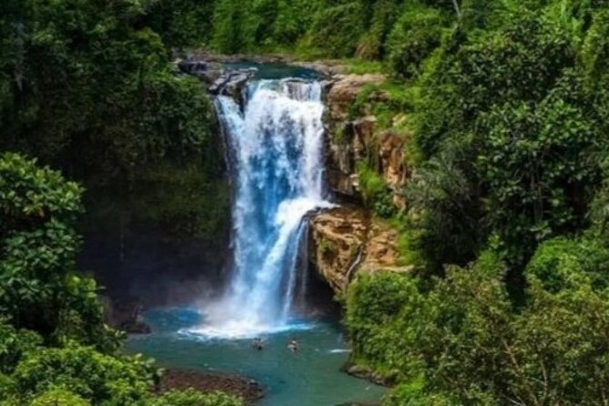 Bali Day Trip to Ubud Highlight Tour and Tanah Lot Temple - The guide can shape the whole experience
