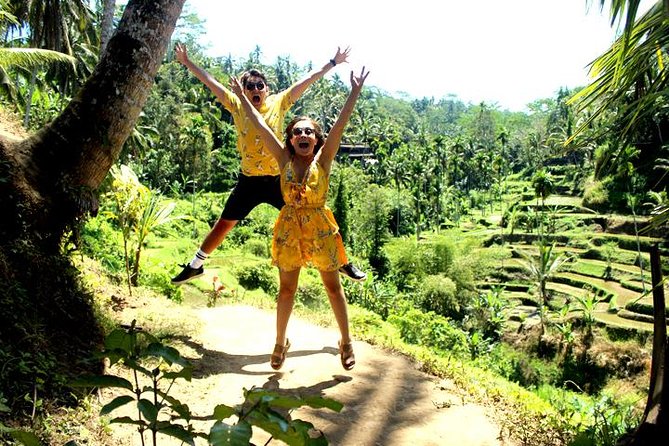Bali Day Trip: Ubud Temples & Hidden Waterfalls - Tegalalang Rice Terrace and the classic Bali view