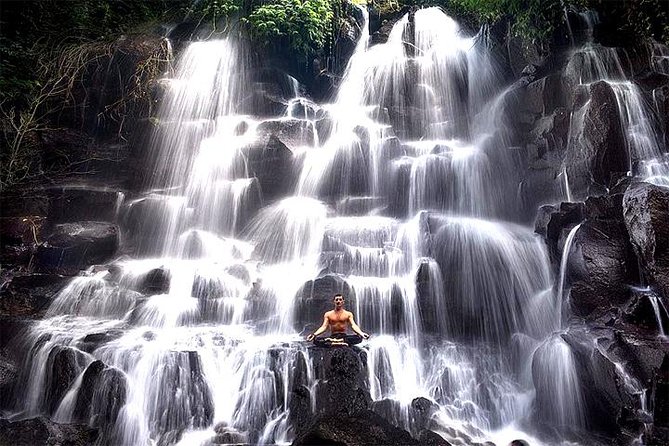 Bali Day Trip: Ubud Temples & Hidden Waterfalls - What Gede adds to the day