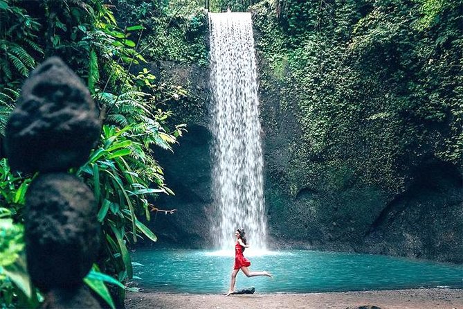 Bali Day Trip: Ubud Temples & Hidden Waterfalls - Transport, timing, and the real value of $39