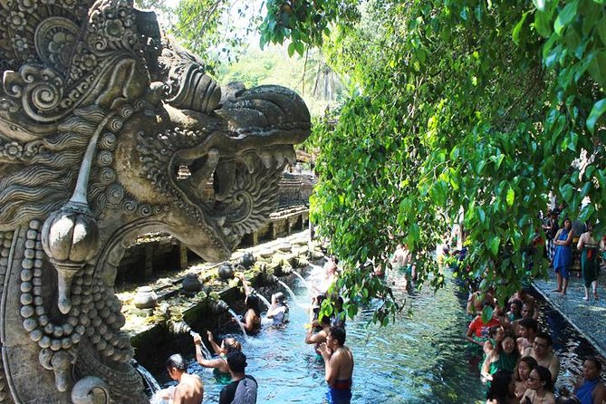 Bali Day Trip: Ubud Temples & Hidden Waterfalls - Who should book this Ubud day trip