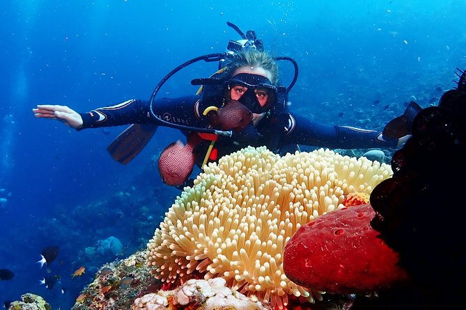 Bali Diving for Beginners: Tulamben Liberty Wreck - The First Session: Coral Garden or the Drop Off