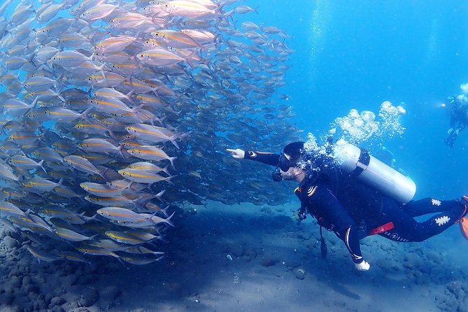Bali Diving for Beginners: Tulamben Liberty Wreck - The Liberty Wreck: The Main Event