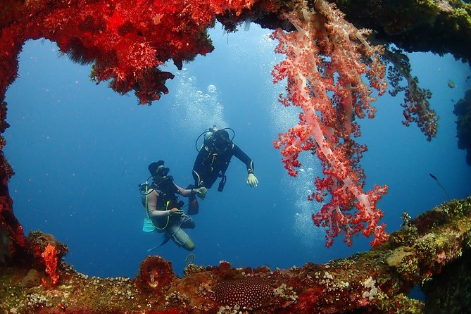 Bali Diving for Beginners: Tulamben Liberty Wreck - Equipment, Lunch, and the Practical Extras