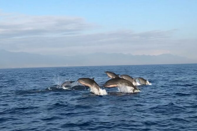Bali Dolphin Lovina tour and Ulundanu Beratan - Why this northern Bali day trip takes real planning