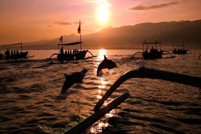 Bali Dolphin Lovina tour and Ulundanu Beratan - Private transport, included tickets, and the $75 value