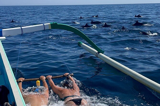 Bali : Dolphin Sunrise Experience Tour Private All Inclusive - Key points to know before booking