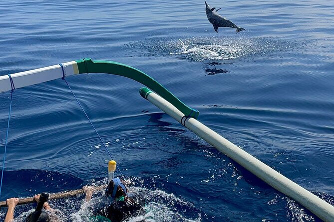 Bali : Dolphin Sunrise Experience Tour Private All Inclusive - Aling-Aling Waterfall and the physical effort involved