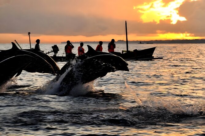 Bali Dolphin Watching Sunrise Tour in Lovina Beach - Practical advice for a smoother day