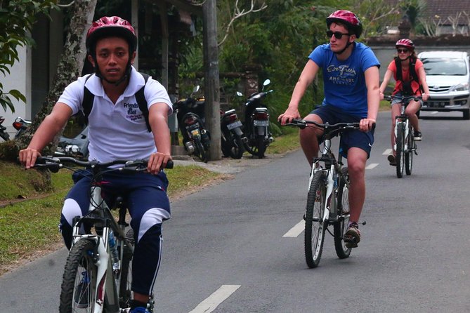 Bali Downhill Cultural Cycling Tour - Three and a Half Hours Through Bali’s Back Roads