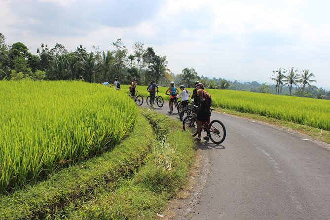 Bali Downhill Cycling and White Water Rafting - What to bring and how to pace yourself