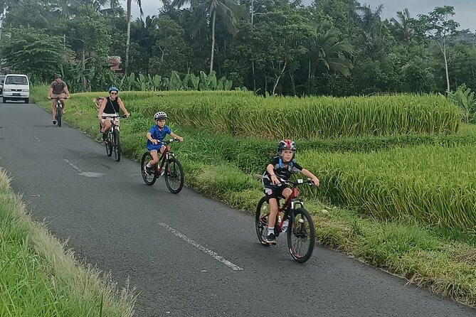 Bali Downhill Natural Cycling Tour & visit Volcano - Two hours through Manukaya and the rice fields