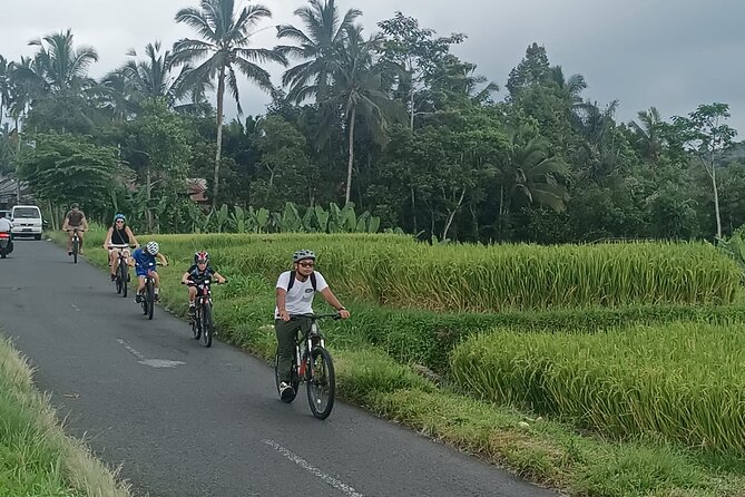 Bali Downhill Natural Cycling Tour & visit Volcano - Price, pickup, and the real value