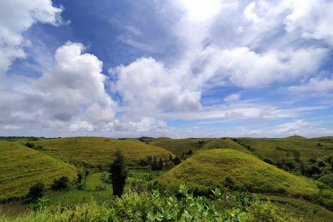 Bali East Nusa Penida Private Tour - All Inclusive - Tree House Molenteng: famous views with one extra charge