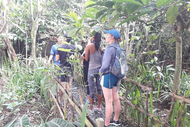 Bali Eco & Educational Cycling Tour - From the Highland Road to Quiet Back Roads