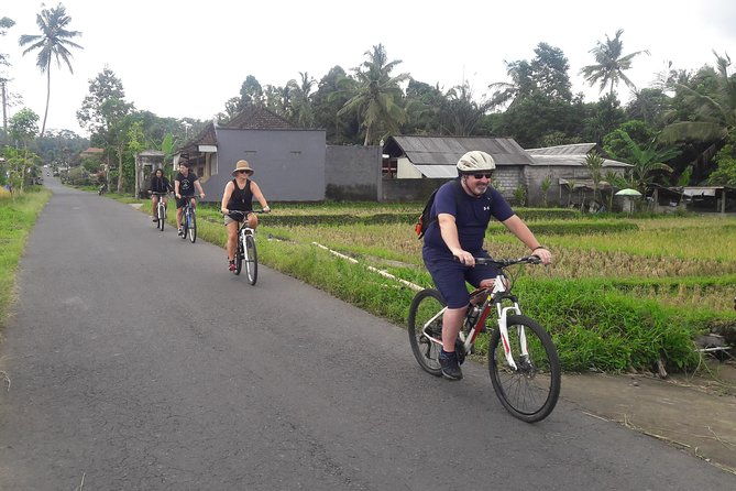 Bali Eco & Educational Cycling Tour - Lunch, Snacks, and the Coffee Break